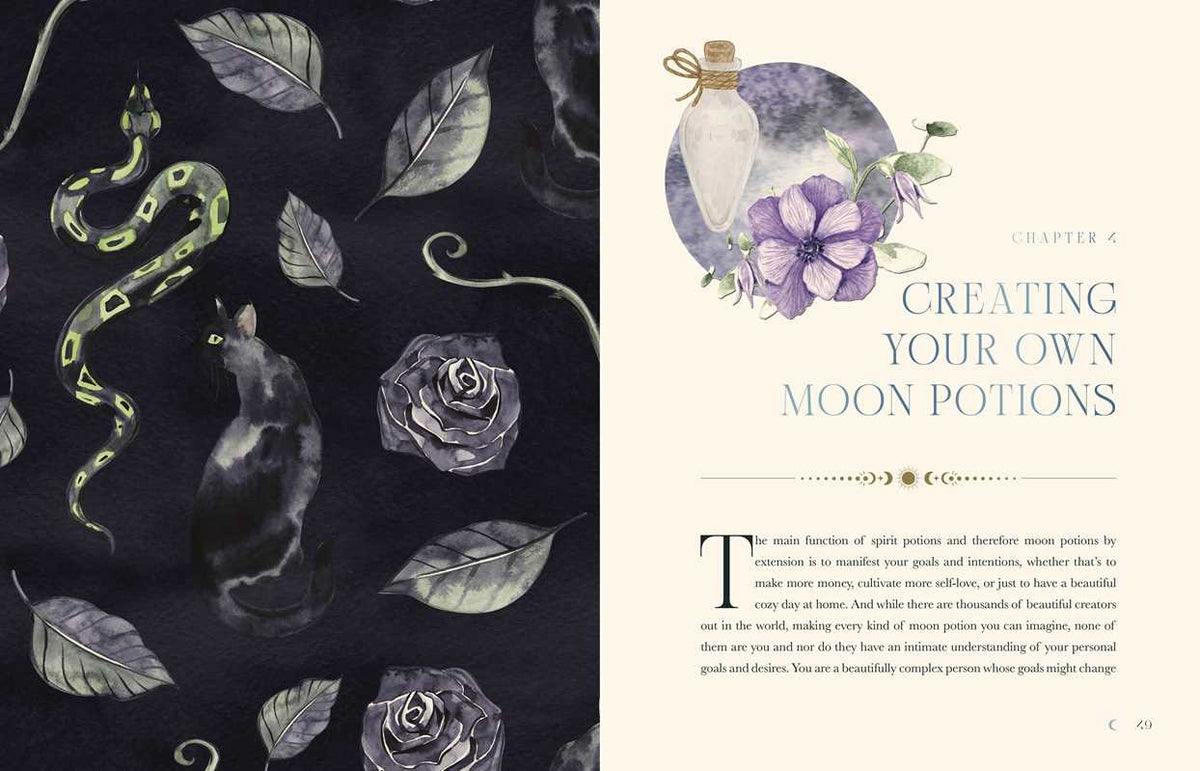 The Moon Apothecary by Lorriane Anderson