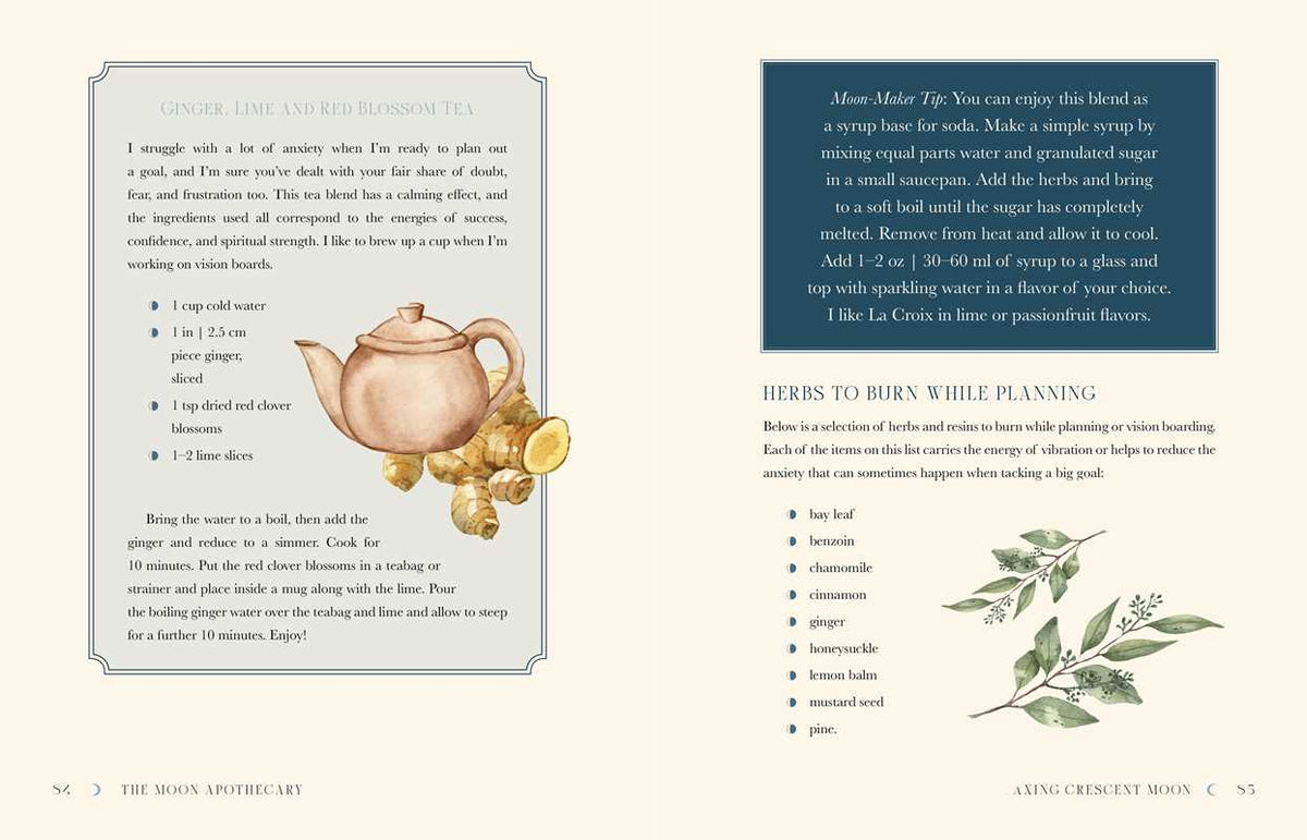The Moon Apothecary by Lorriane Anderson