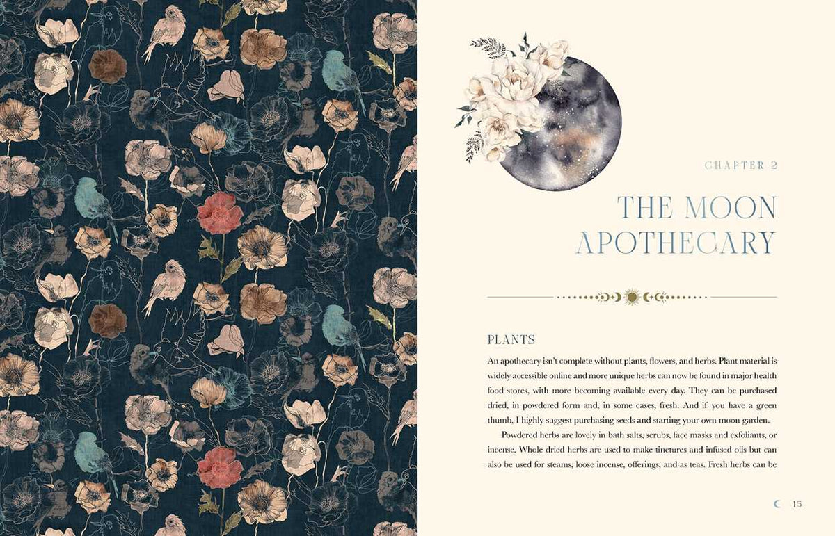 The Moon Apothecary by Lorriane Anderson